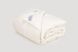 Одеяло детское IGLEN Climate-comfort 100% пух белый облегченное, 110 х 140 см - фото