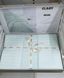 Постільна білизна сатин сімейна Saten Strip Aran Clasy Mint 100% бавовна 135 нит/см2 - фото