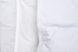 Ковдра IGLEN Climate-comfort 100% пух білий полегшена, Двоспальна євро, 172 х 205 см - фото