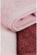 Рушник Beverly Hills Polo Club 355BHP2263 Pink, Powder, Dusty Rose, Комплект 3 шт - Для рук і обличчя : 50 х 90 см - фото