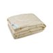 Одеяло Руно силиконовое молочное пл. 300 бязь набивная, Двуспальный - 172 х 205 см - фото