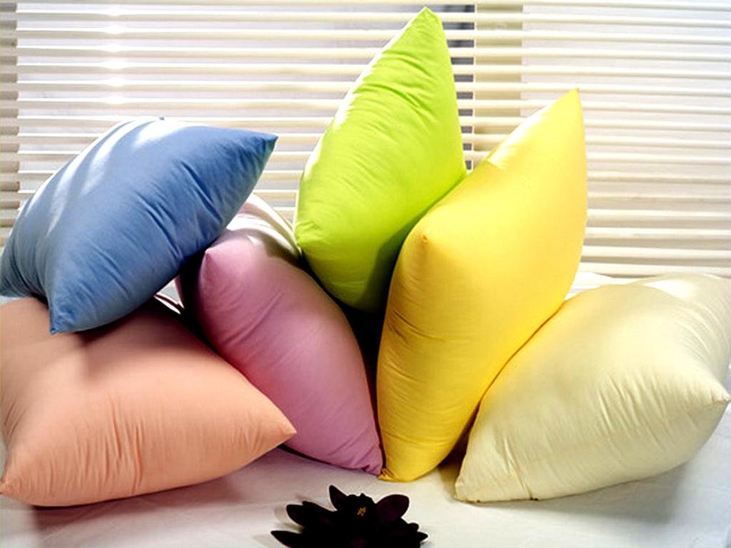 Как можно постирать подушку из пера и пуха в домашних условиях?